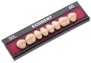 TABLILLA DE DIENTES ECODENT - COLOR: A3,5