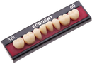 TABLILLA DE DIENTES ECODENT - COLOR: B3