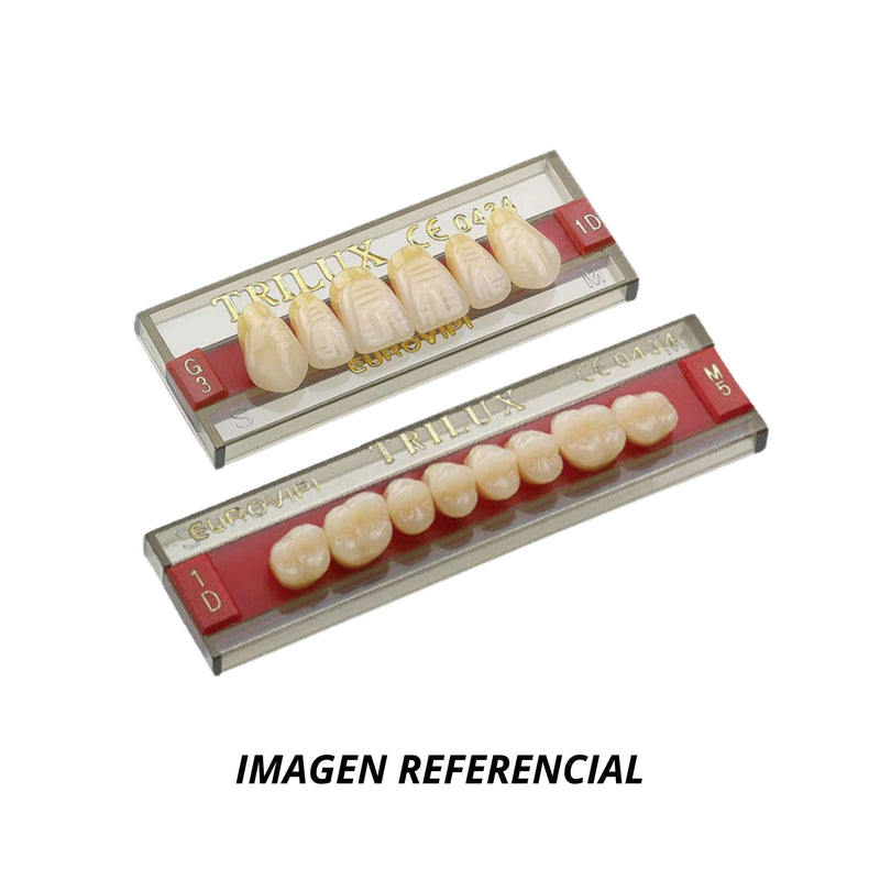 DIENTES TRILUX V ANT SUP T4BS, C2