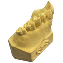 YESO PIEDRA DURGUIX, AMARILLO 1 KG., PROTECHNO