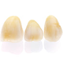 CERAMOTION LISI, LT 33