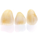 CERAMOTION LISI, LT 12