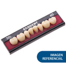 ECODENT POST INF 32L I D3
