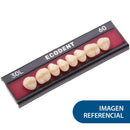 ECODENT POST SUP 32L S D3