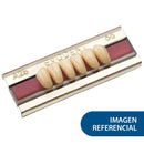EVODENT POST INF 30L A2