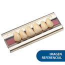 EVODENT POST INF 30L A2