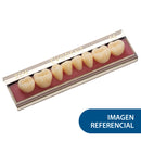 EVODENT POST INF 30L A2