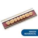 EVODENT POST INF 30L A2