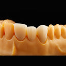 SHT-ML PRO 3D ZIRCONIO MULTILAYER, RONDCERA