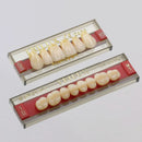 TABLILLA DE DIENTES TRILUX V - COLOR: A2