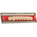 TABLILLA DE DIENTES TRILUX V - COLOR: A1