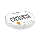 ZIRCONIO ANATOMIC COLOURED A2 95H14