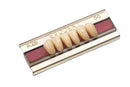 TABLILLA DE DIENTES EVODEN - COLOR: C2