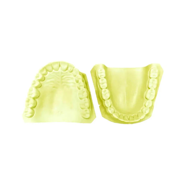 MODELO DE YESO SUP E INF DENTADO TOTAL PAR