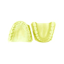 MODELO DE YESO SUP E INF DENTADO TOTAL PAR