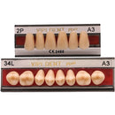 TABLILLA DE DIENTES VIPI - COLOR: A3.5